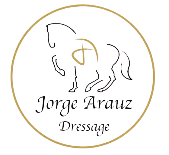 Best Classical Dressage Trainer in Texas | FEI Level