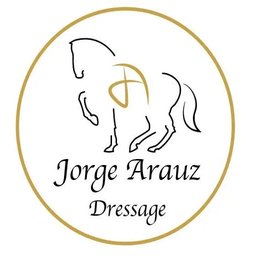 Best Classical Dressage Trainer in Texas | FEI Level
